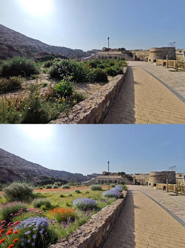 La APC activa el Proyecto de Refuerzo para revitalizar los espacios públicos del Puerto y su fachada marítima con jardinería y reposición de marras