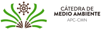 Logo Puerto en Verde